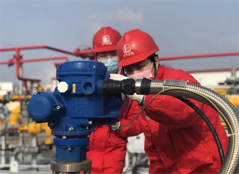 緊固件，法蘭，鉆尾螺絲，邯鄲飛達