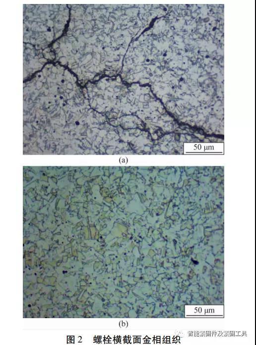 紧固件工业网-316L不锈钢螺栓腐蚀断裂分析-不锈钢螺栓