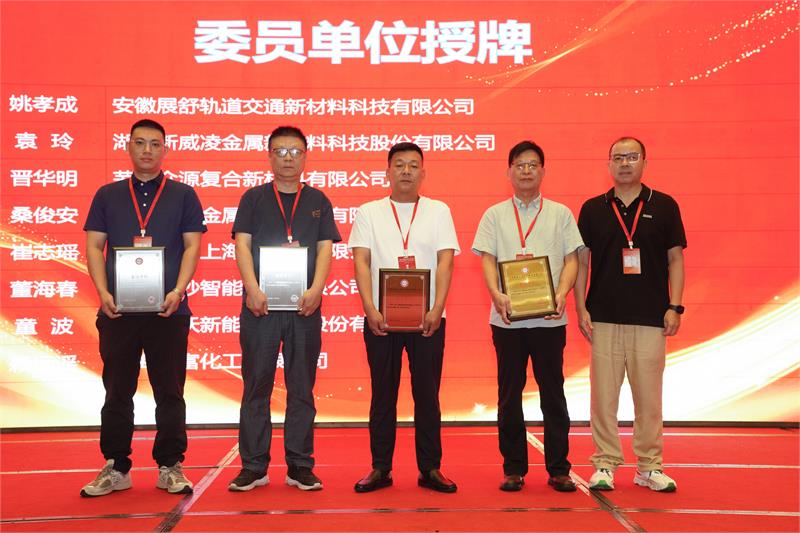 粉末渗镀,中国表面工程协会,换届大会,创新提质,数智赋能,绿色低碳,防腐工艺,行业标准,产学研合作,智能制造